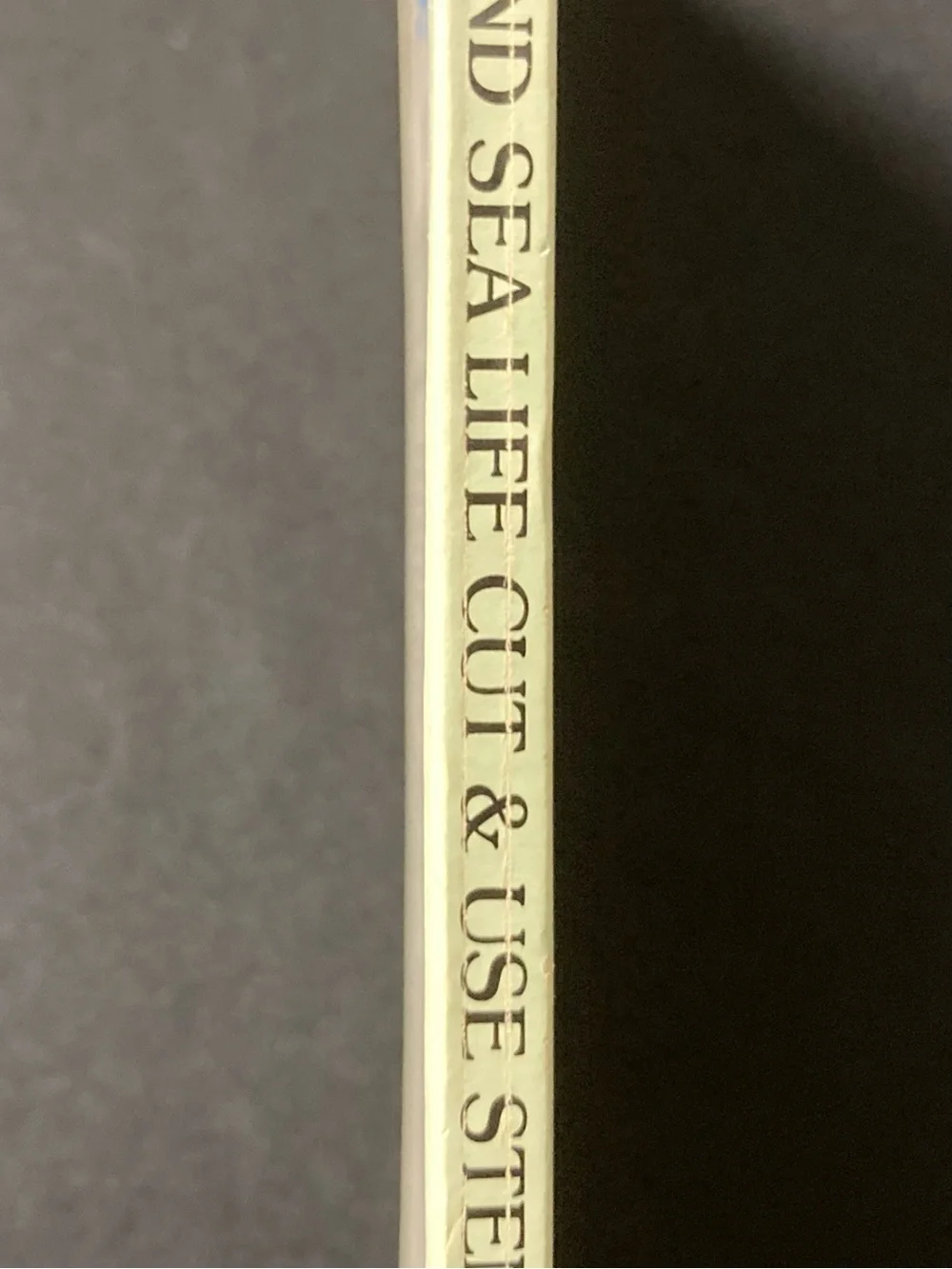 Fish and Sea Life Cut and Use Stencils by Ted Menten Paperback